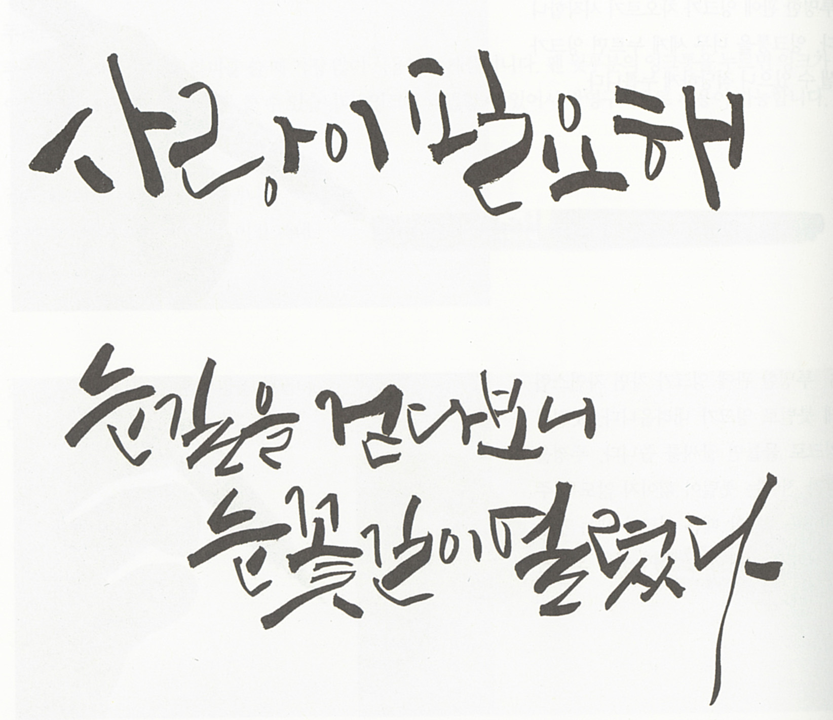 캘리그래피 입문기, 손으로 아름답게 문자를 그리다