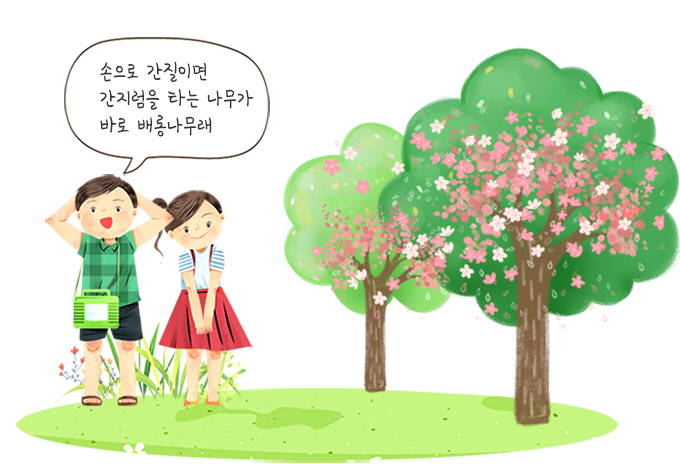 2명의 아이들이 간지럼 태우는 그림 A: 근데, 나무도 간지럼 타는 나무가 있는 거 알아? 
B: 정말? 어떤 나무인데? A: 배롱나무. 두 아이 마주보며 대화하는 그림(신기해하는 아이와 말하는 아이), 한 아이가 나뭇가지를 간질이는 그림 B: 진짜네~!  신기하다. 나무가 간지럼 타듯이 흔들리는 그림