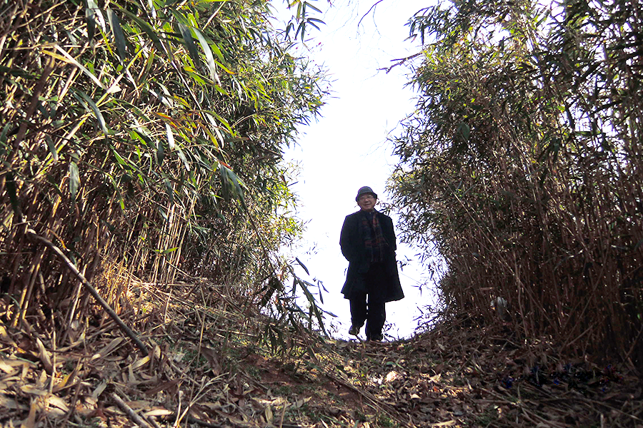 나태주 시인이 숲에서 정면을 향해 내리막길로 걸어오고 있다. 나태주 시인은 검은색 코트와 체크무늬 목도리, 안경과 모자를 썼다.