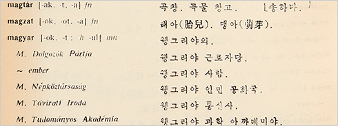 『웽조사전』 수록 어휘 사진이다. 곡창, 태아, 웽그리아의 등의 단어가 헝가리어로 적혀있다.