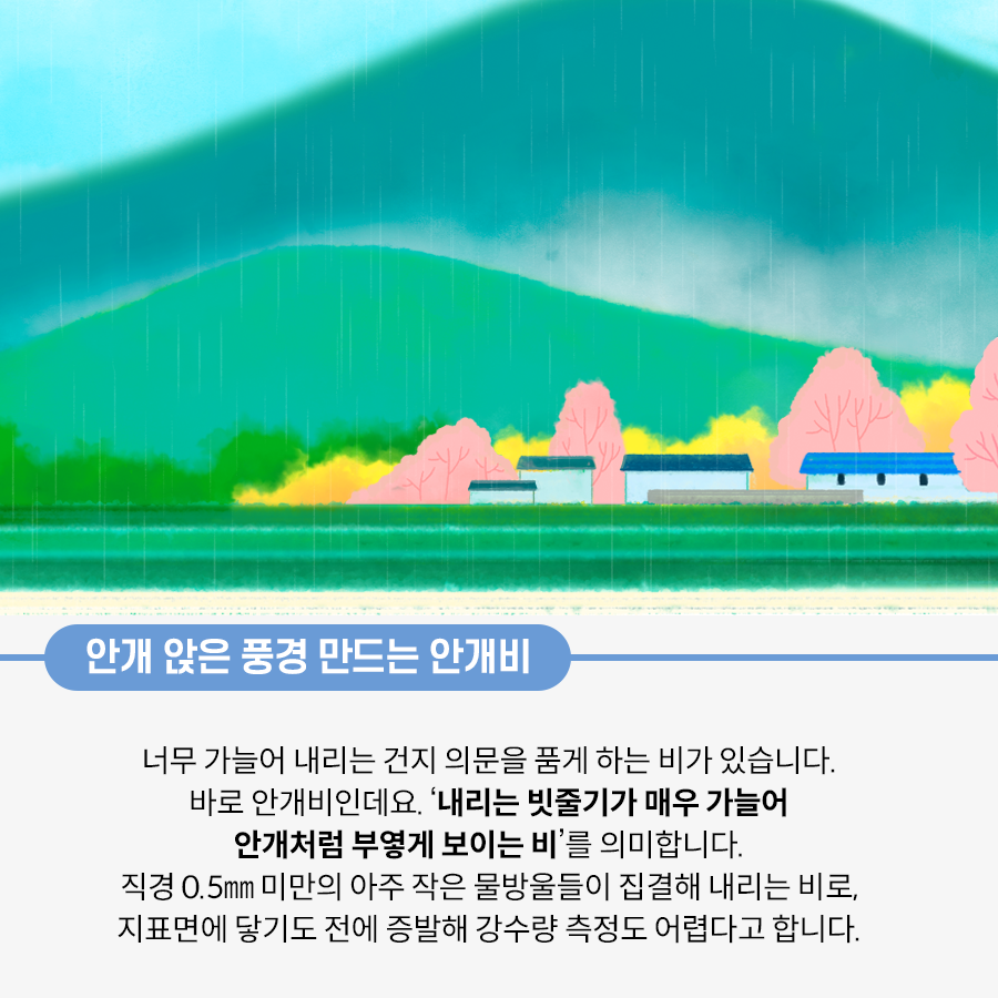 집들과 분홍색 나무가 있는 가운데 얇은 줄기의 비가 내리고 있다. 집과 나무 뒤로 2개의 산봉우리가 있다. 산봉우리 사이에 뿌연 안개가 형성돼 있다.